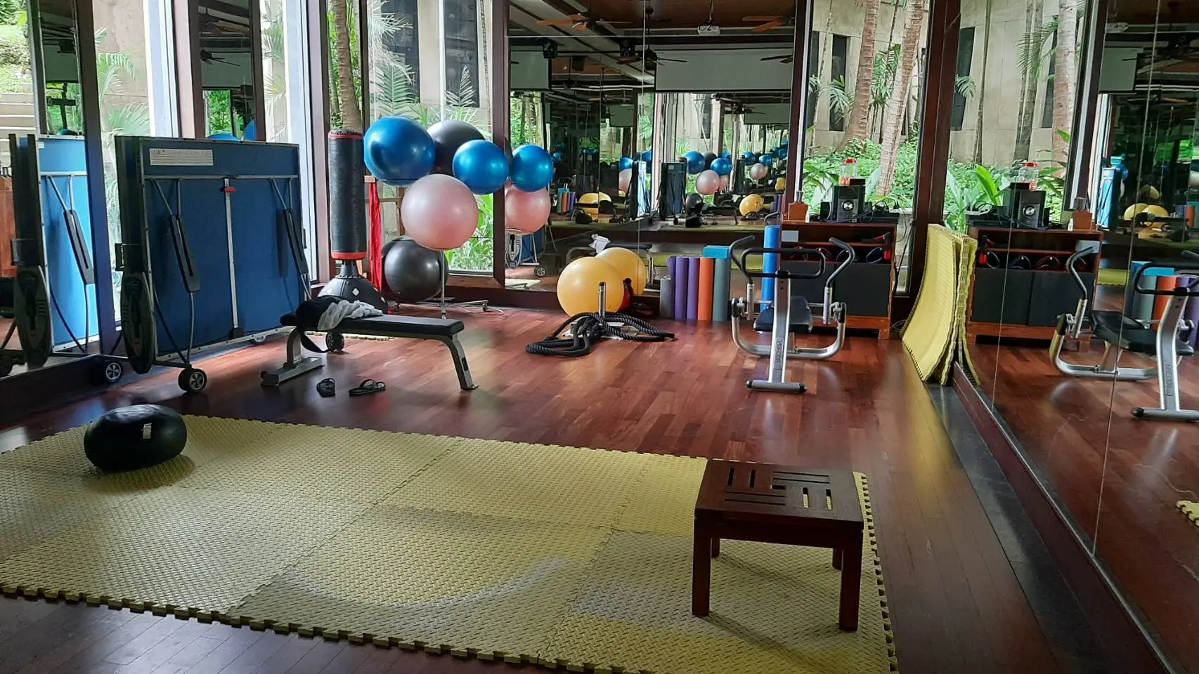 Professional fitness studio with tropical setting showing gym equipment at training facility